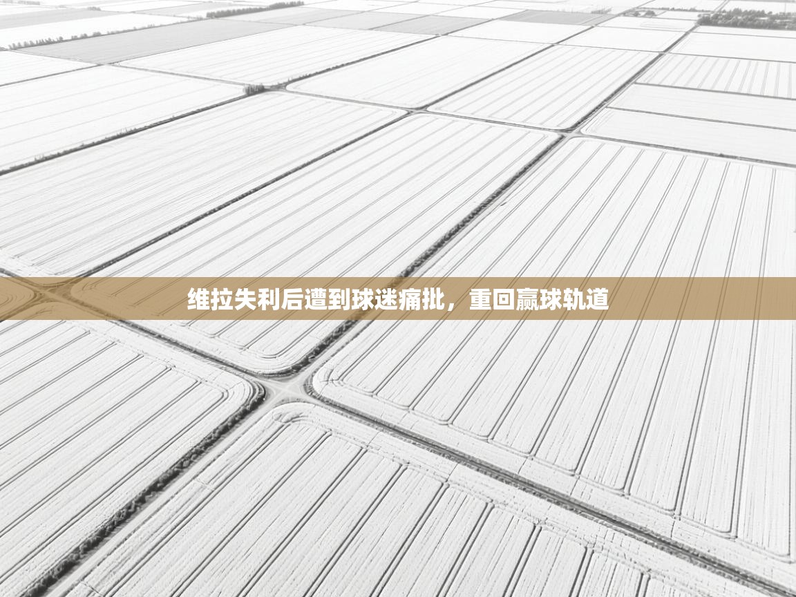 维拉失利后遭到球迷痛批,重回赢球轨道 第2张