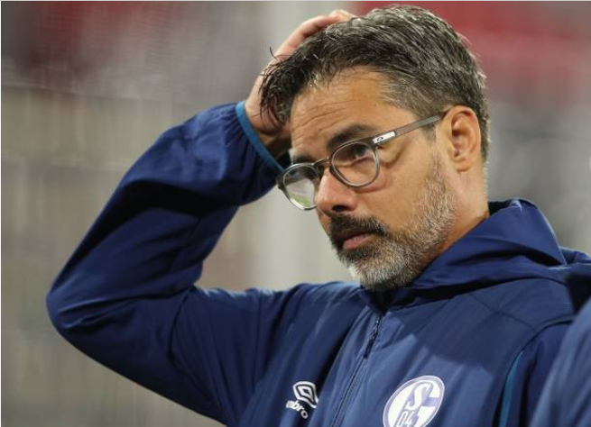 沙尔克主场尴尬失利，战绩堪忧的简单介绍