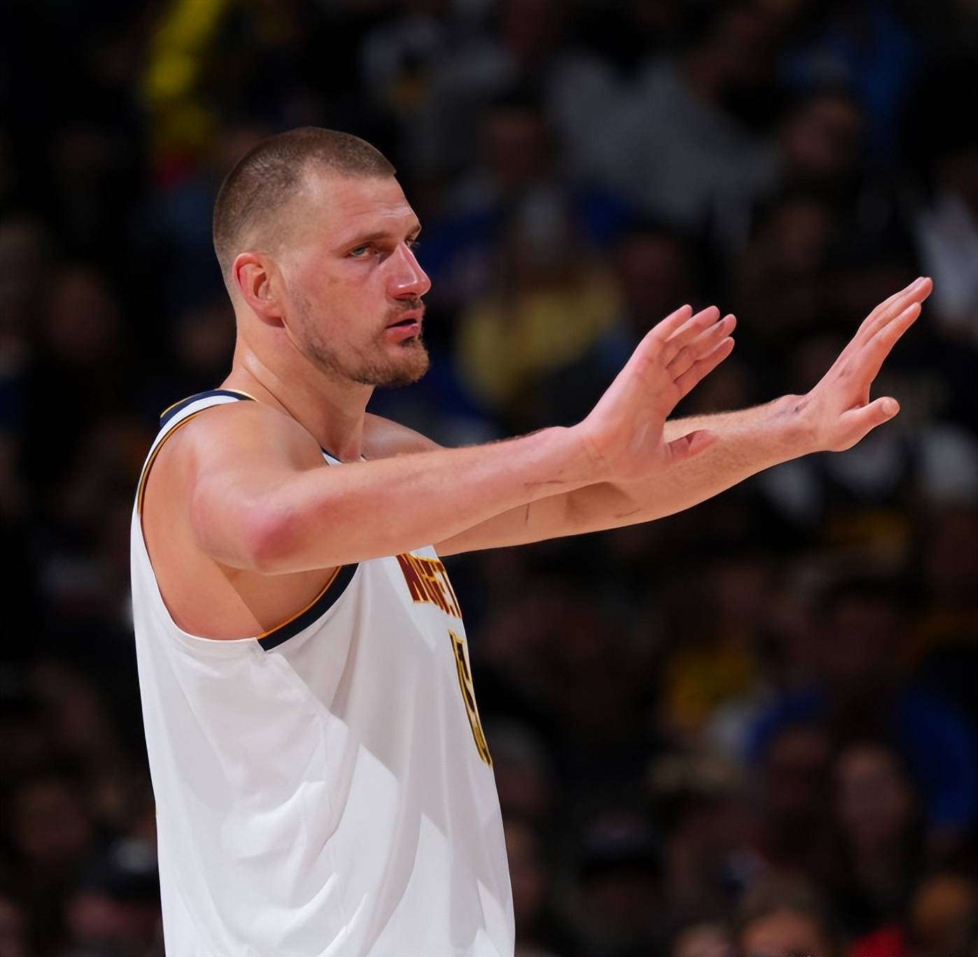 灰熊队突破困境,以坚韧斗志取得胜利的简单介绍 灰熊队突破困境,以坚韧斗志取得胜利的简单介绍